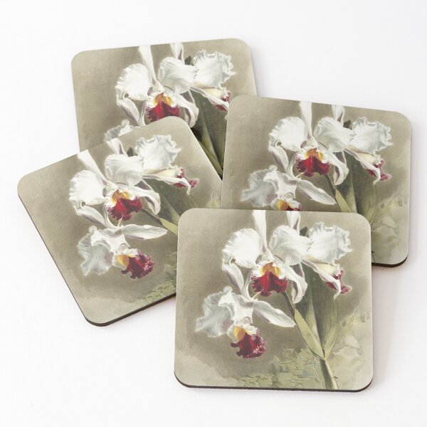 Item preview, Reichenbachia: Orchids Illustrated and Described designed and sold by EsotericBotanic.