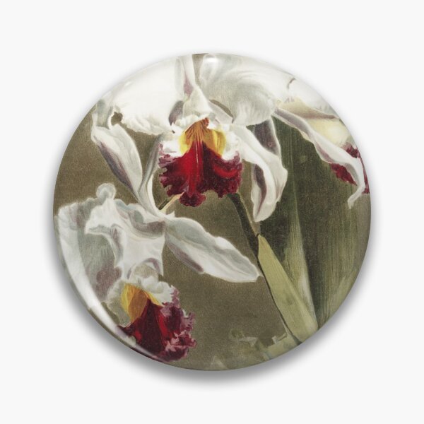 Item preview, Reichenbachia: Orchids Illustrated and Described designed and sold by EsotericBotanic.