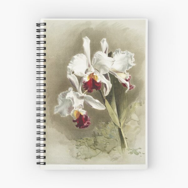 Item preview, Reichenbachia: Orchids Illustrated and Described designed and sold by EsotericBotanic.