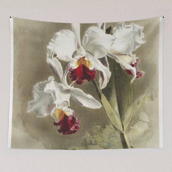 Item preview, Reichenbachia: Orchids Illustrated and Described designed and sold by EsotericBotanic.