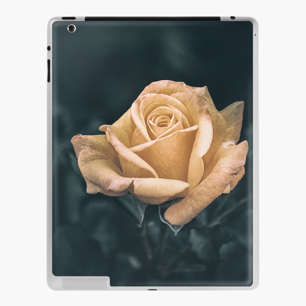 Item preview, iPad Skin designed and sold by cokemann.
