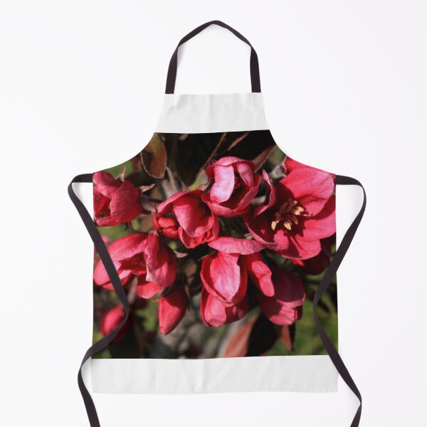 Item preview, Malus floribunda in bloom designed and sold by annalisa56.