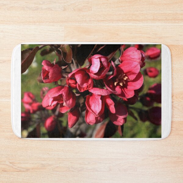 Item preview, Malus floribunda in bloom designed and sold by annalisa56.