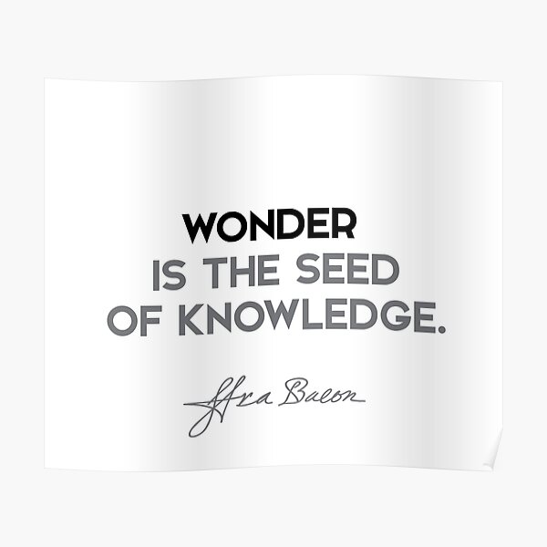 Francis Bacon quotes - Wonder is the seed of knowledge. Poster