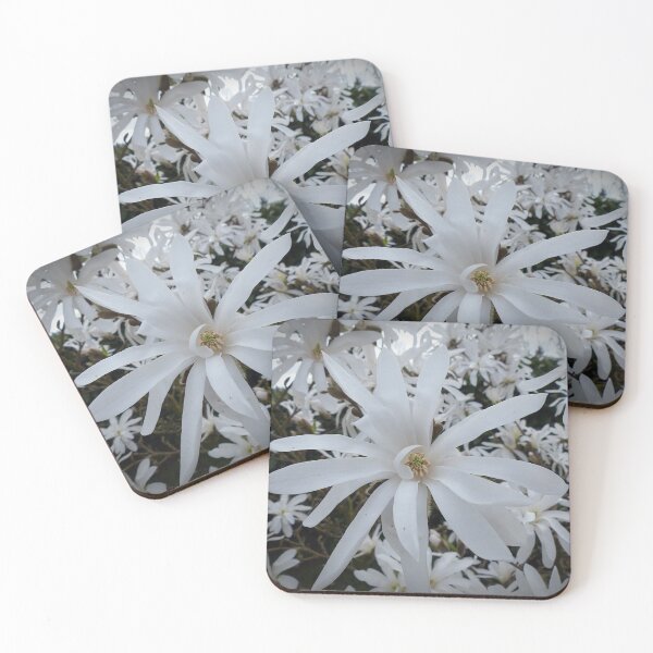 Item preview, Australia Flannel Flower designed and sold by sasijaya.