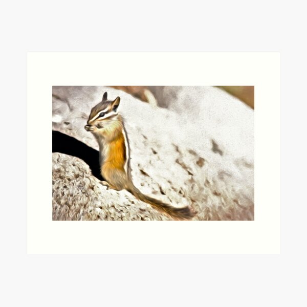 Aperçu de l'œuvre Chipmunk Munch créée et vendue par Lana Trussell.