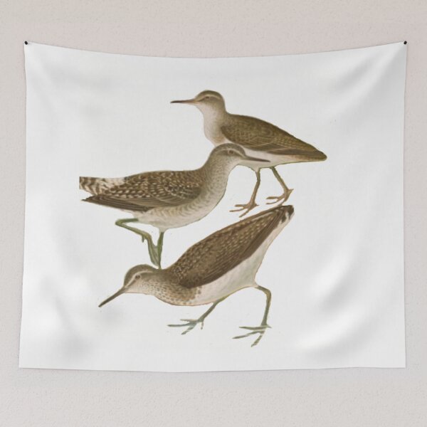 Item preview, Wrens By The River Kwai designed and sold by laguitan10.
