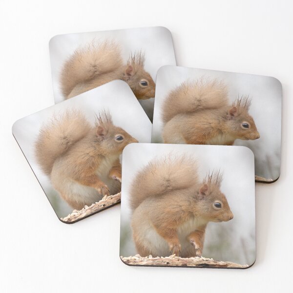 Item preview, Red Squirrel designed and sold by Macrae images.