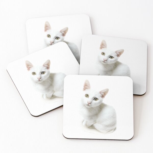 Item preview, Kitten Love designed and sold by phillymag.