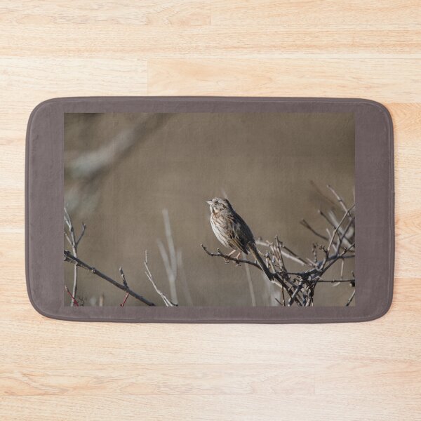 Item preview, Song Sparrow (Melospiza melodia) designed and sold by rodmacpherson.