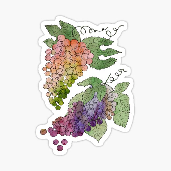 Item preview, Grapes designed and sold by Milena Taranu.
