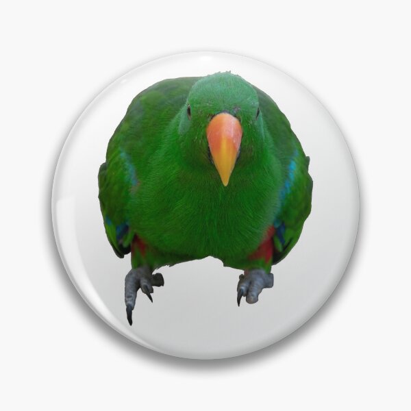 Item preview, Tweety Bird designed and sold by twelvepointfour.