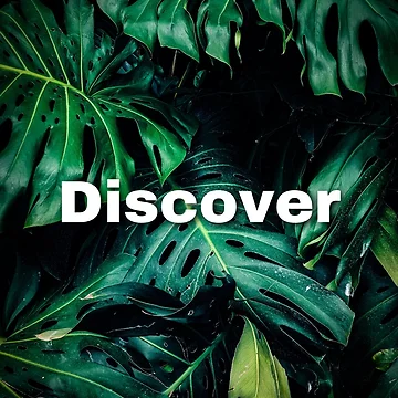 Artwork thumbnail, Discover by RB Graphics