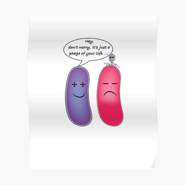 Microbiology Puns Posters Redbubble