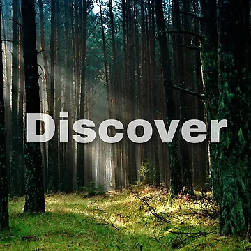 Artwork thumbnail, Discover by RB Graphics