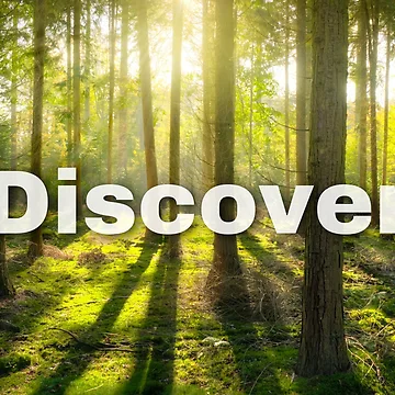 Artwork thumbnail, Discover by RB Graphics