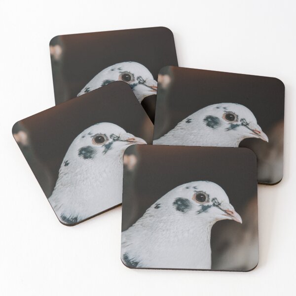 Item preview, Curious Pigeon designed and sold by didssph-prints.