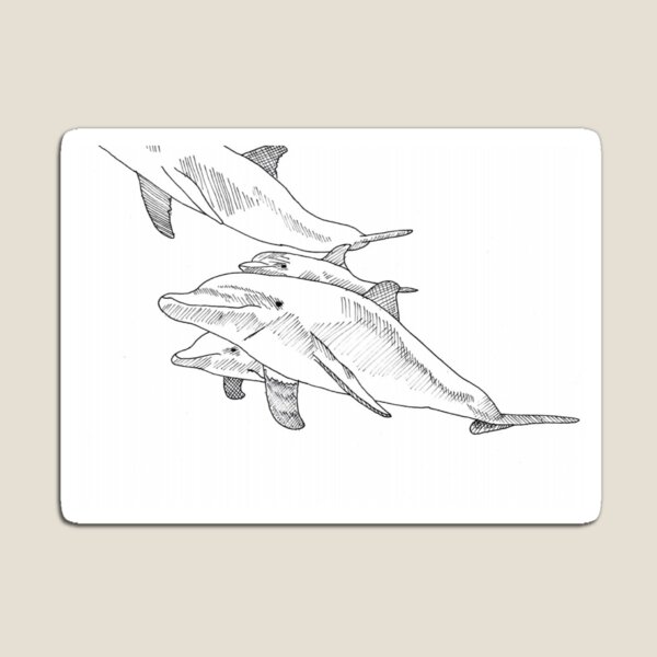 Item preview, Colour In Apparel And Merchandise Dolphins 1 designed and sold by ClosLineDesigns.