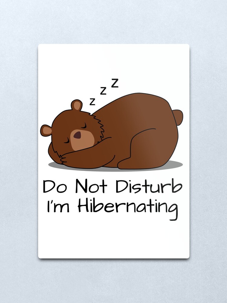 Lámina metálica «No molestar durmiendo oso de dibujos animados hibernando» de FurryPunch | Redbubble Lámina metálica «No molestar durmiendo oso de dibujos animados hibernando» de FurryPunch | Redbubble