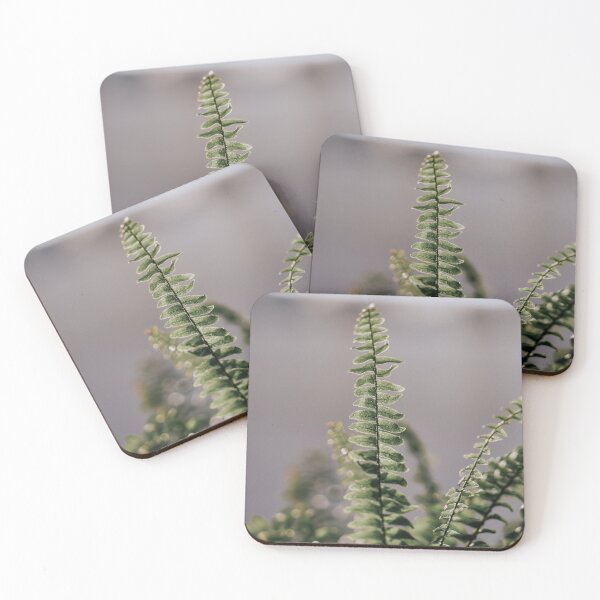 Item preview, Fern Raising  designed and sold by didssph-prints.