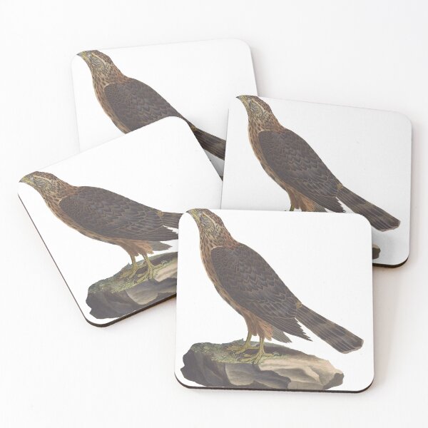 Item preview, Falcon Gazing At The Sky designed and sold by laguitan10.