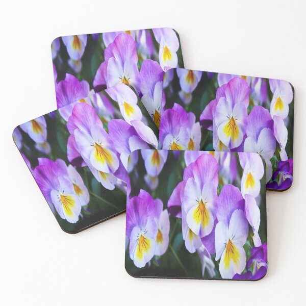 pansy flowers Coasters (Set of 4)