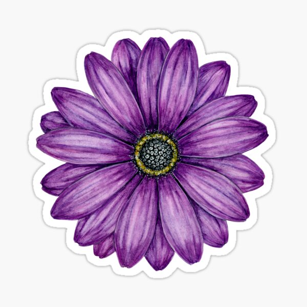 Purple Daisy Flower Sticker