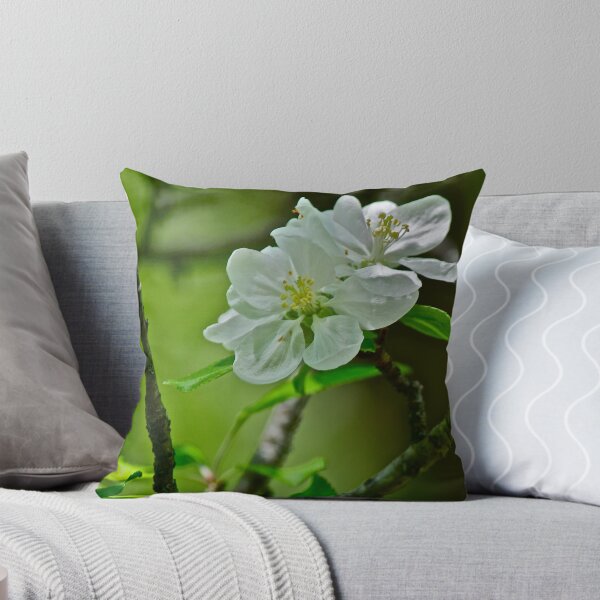 Item preview, White Apple Blossom pillow 1 designed and sold by Carolyn Clark.