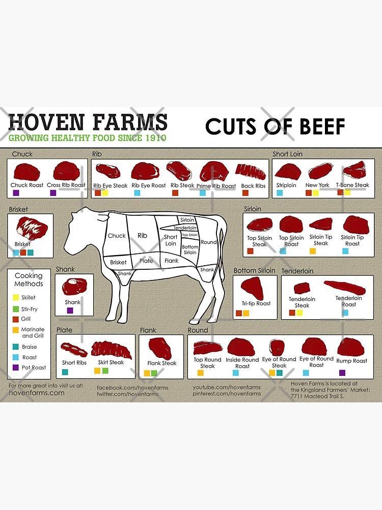 Beef Cuts Chart - Infographic Diagram - The BBQ Depot