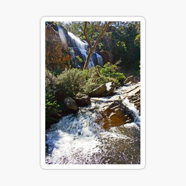 Mackenzie Falls Sticker