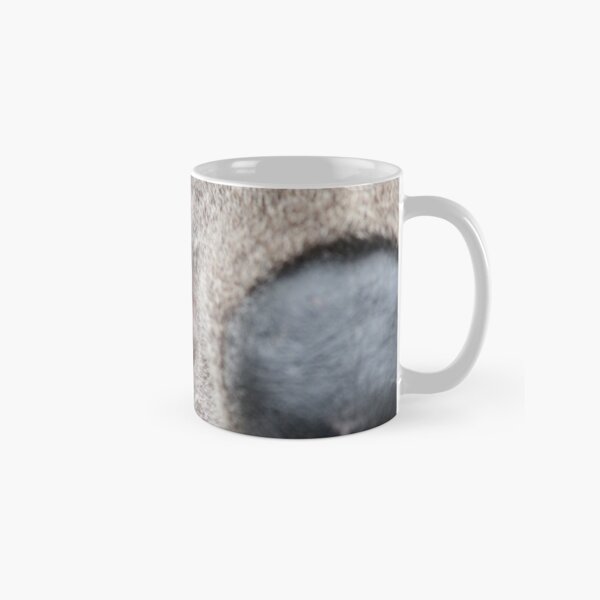 Koala Clancy - I've got my eye on you! Classic Mug