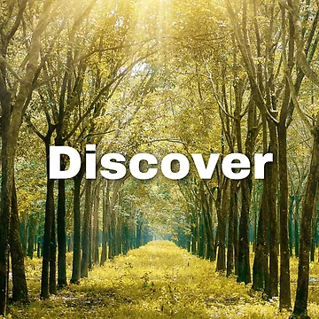 Artwork thumbnail, Discover by RB Graphics