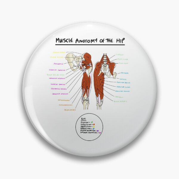 Item preview, Muscles of the hip  designed and sold by faolansforge.