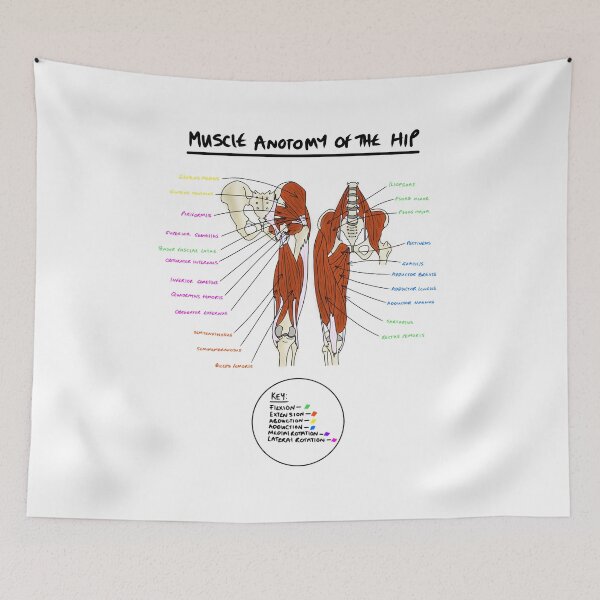 Item preview, Muscles of the hip  designed and sold by faolansforge.