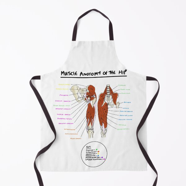 Item preview, Muscles of the hip  designed and sold by faolansforge.