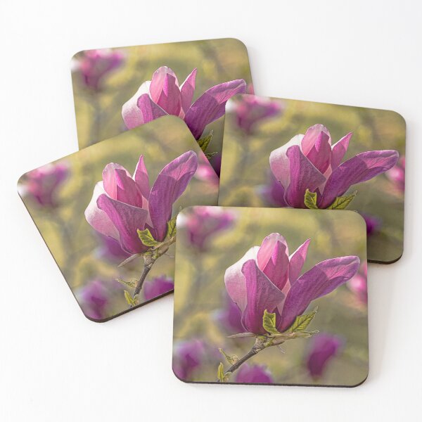 Item preview, Magnolia grandiflora heralds spring  designed and sold by ritadilalla.
