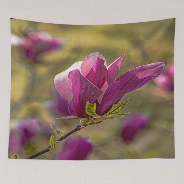 Item preview, Magnolia grandiflora heralds spring  designed and sold by ritadilalla.