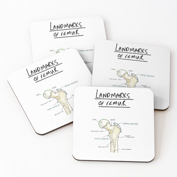 Item preview, Landmarks of the Femur  designed and sold by faolansforge.