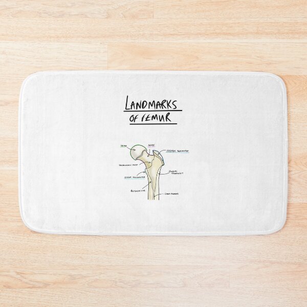 Item preview, Landmarks of the Femur  designed and sold by faolansforge.