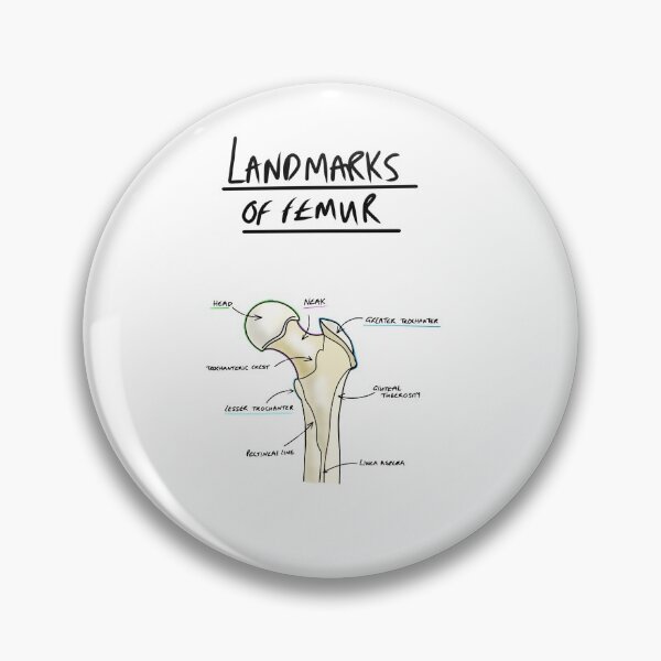 Item preview, Landmarks of the Femur  designed and sold by faolansforge.