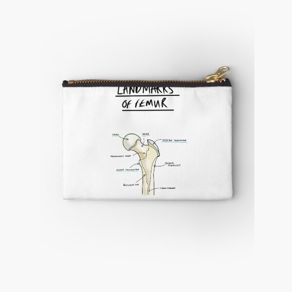 Item preview, Landmarks of the Femur  designed and sold by faolansforge.