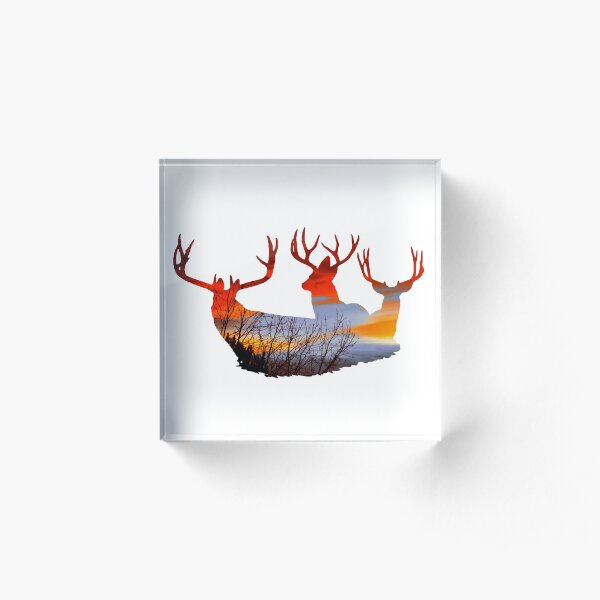 Mule deer buck sunset Acrylic Block