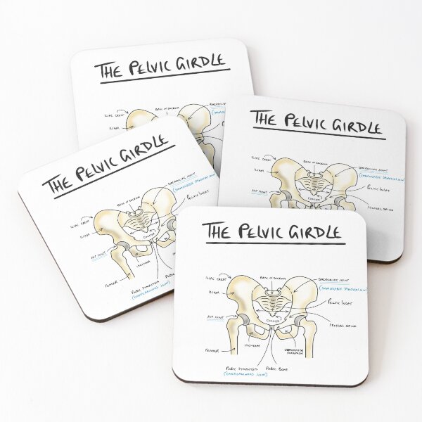 Item preview, Pelvic girdle anatomy  designed and sold by faolansforge.