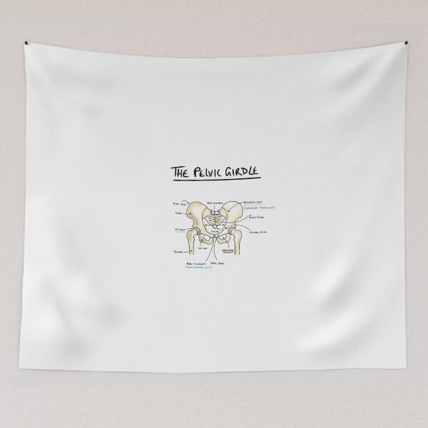 Item preview, Pelvic girdle anatomy  designed and sold by faolansforge.