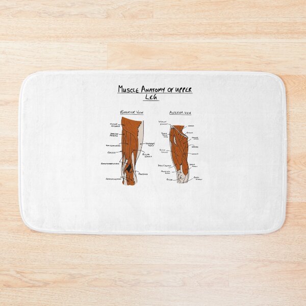 Item preview, Anatomy of upper leg muscles  designed and sold by faolansforge.