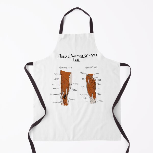 Item preview, Anatomy of upper leg muscles designed and sold by faolansforge.