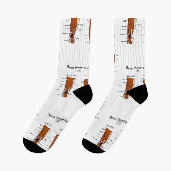 Item preview, Anatomy of upper leg muscles  designed and sold by faolansforge.