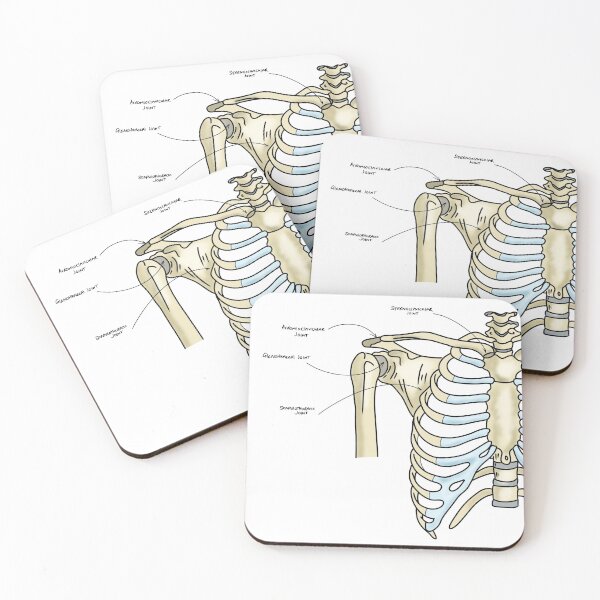 Item preview, Joints of the pectoral girdle  designed and sold by faolansforge.
