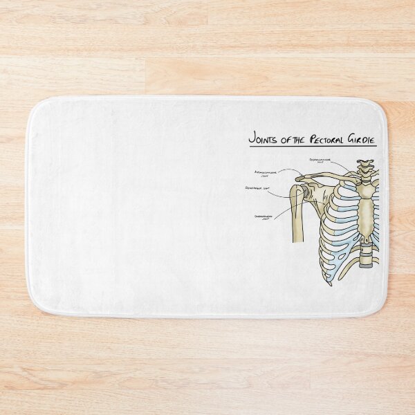 Item preview, Joints of the pectoral girdle  designed and sold by faolansforge.