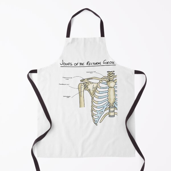 Item preview, Joints of the pectoral girdle designed and sold by faolansforge.